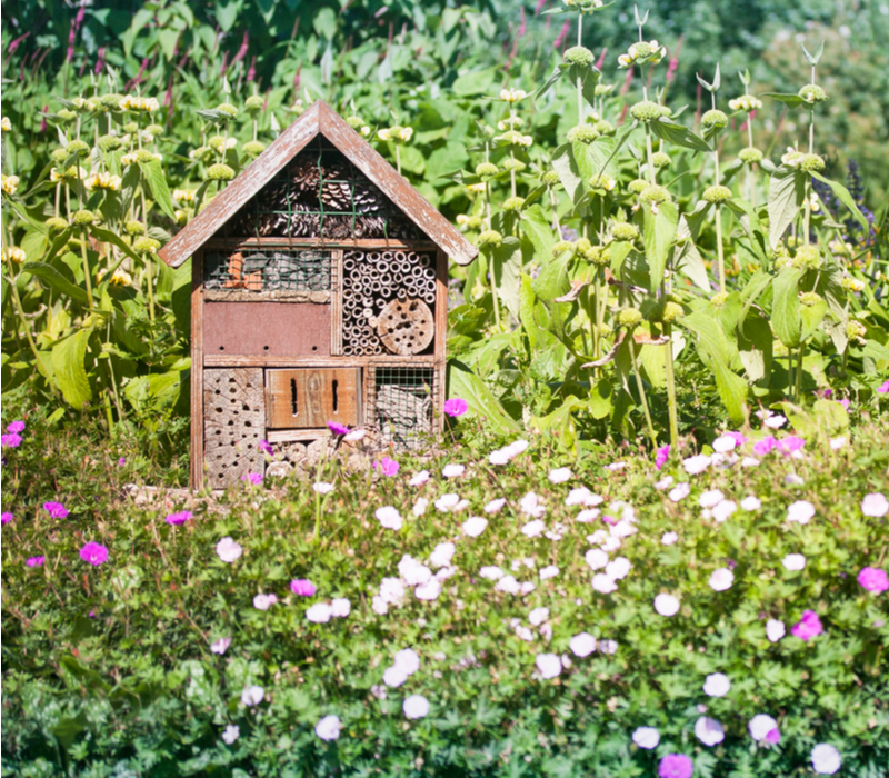 Hoe maak ik een bijenhotel? DIY! | Tuincentrum Eurofleur