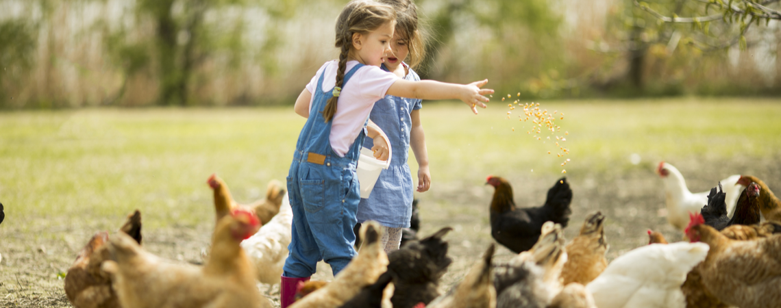 Ideeën voor dierendag 2019