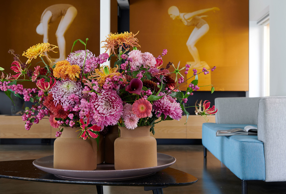 kamerplant eurofleur bolchrysant kamerplanten kopen in leusden