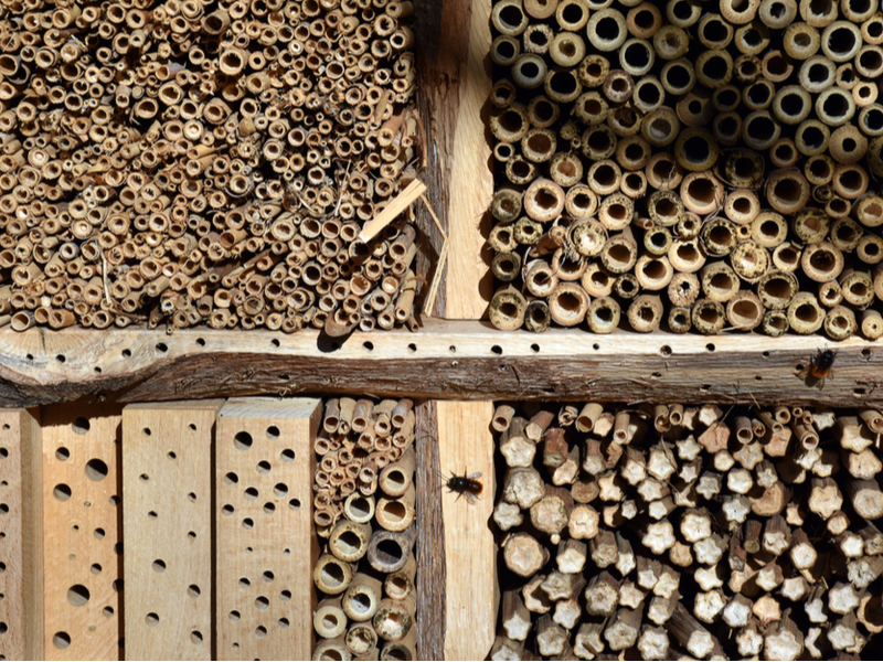 Hoe maak ik een bijenhotel? DIY! | Tuincentrum Eurofleur