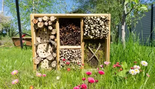 11 tips voor een biodiverse tuin 11 tips voor een biodiverse tuin