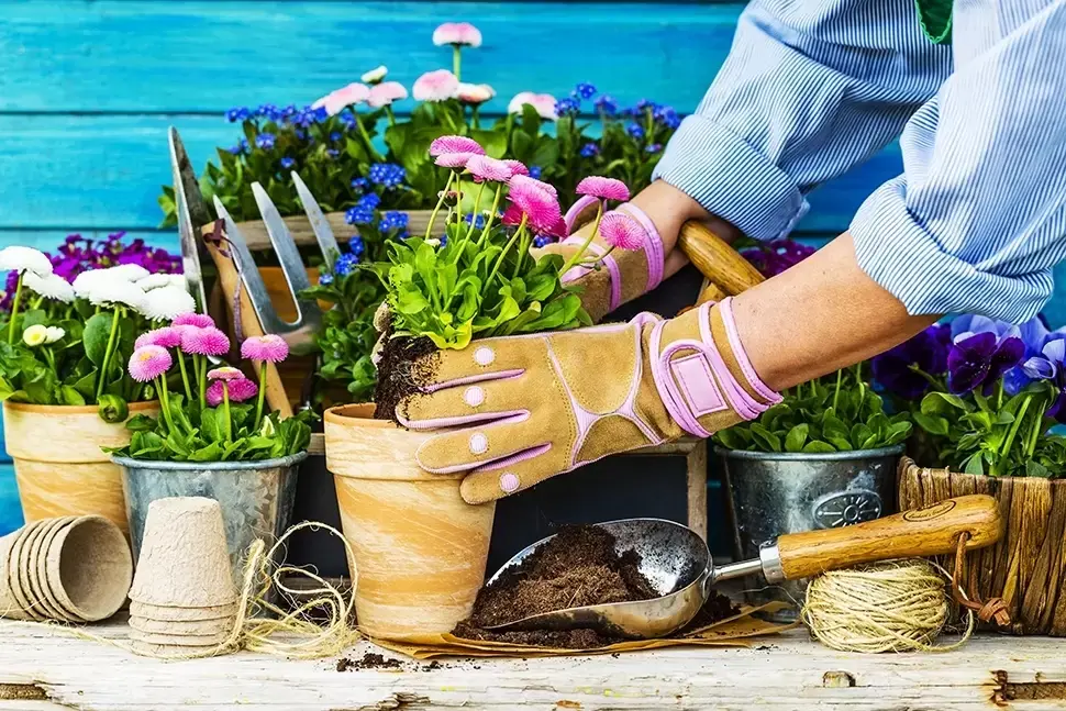 11 tuintips mei 11 tuintips mei