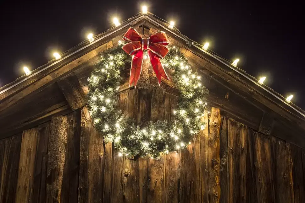 11 tuintips voor december 11 tuintips voor december