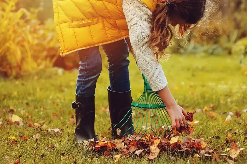 15 Tuintips november 2019 15 Tuintips november 2019