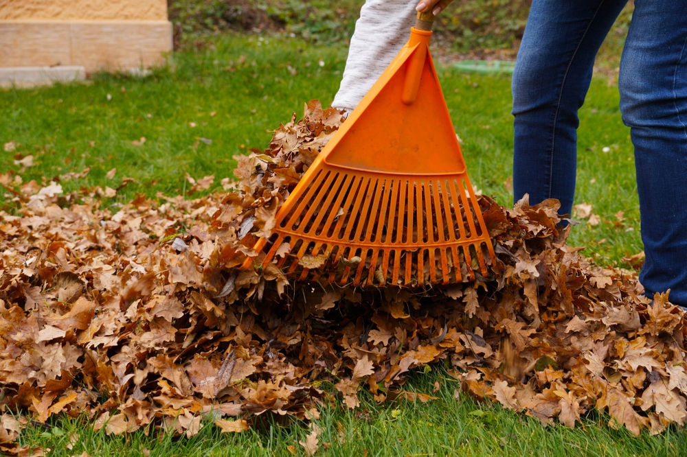 15 tuintips voor oktober 15 tuintips voor oktober