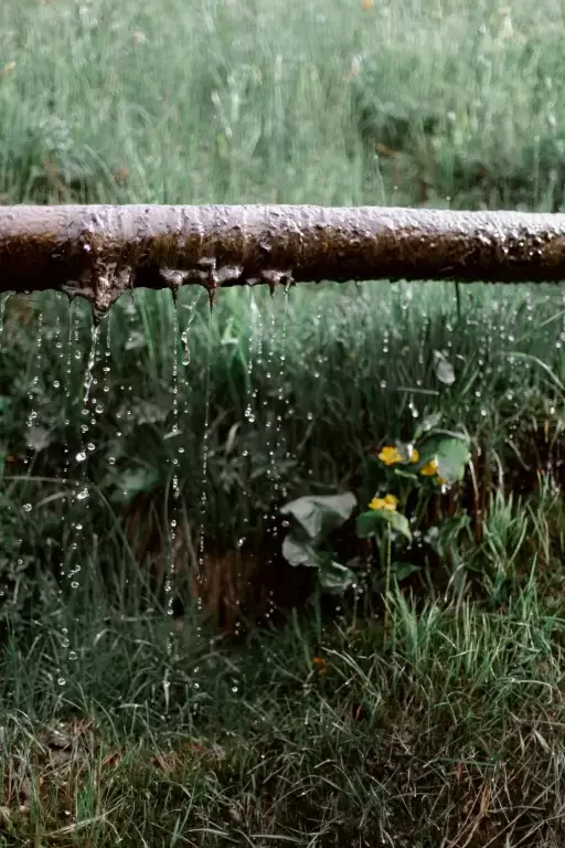 4 tips voor een regenbestendige tuin 4 tips voor een regenbestendige tuin
