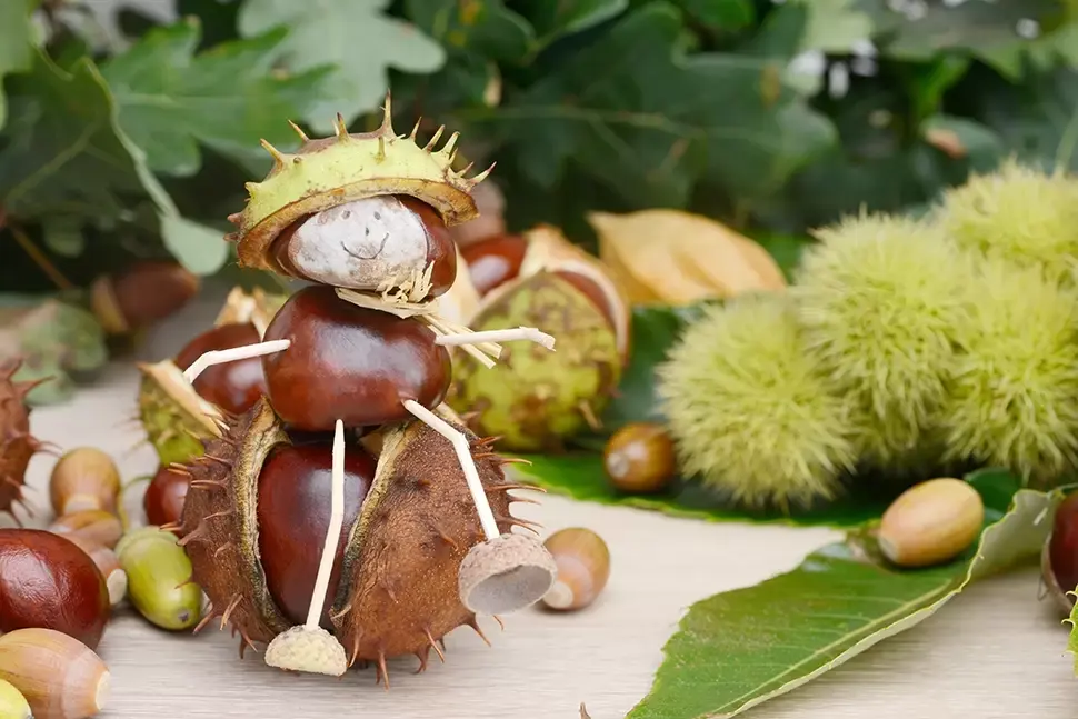 5 groene activiteiten voor de kinderen in de herfstvakantie 5 groene activiteiten voor de kinderen in de herfstvakantie