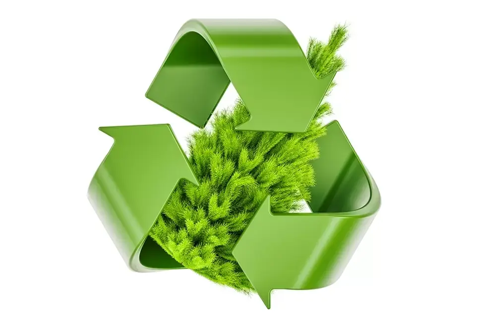 5 tips voor het recyclen van je kerstgroen 5 tips voor het recyclen van je kerstgroen