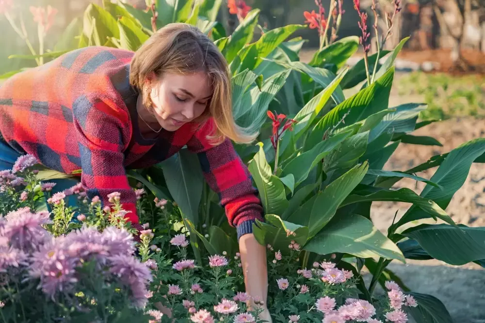 APK voor de (na)zomertuin APK voor de (na)zomertuin