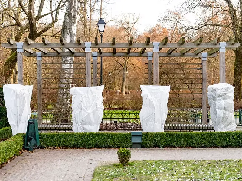 Bescherm je planten tegen het slechte weer Bescherm je planten tegen het slechte weer