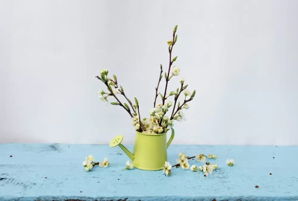 Bloeiende takken: haal de lente in huis Bloeiende takken: haal de lente in huis
