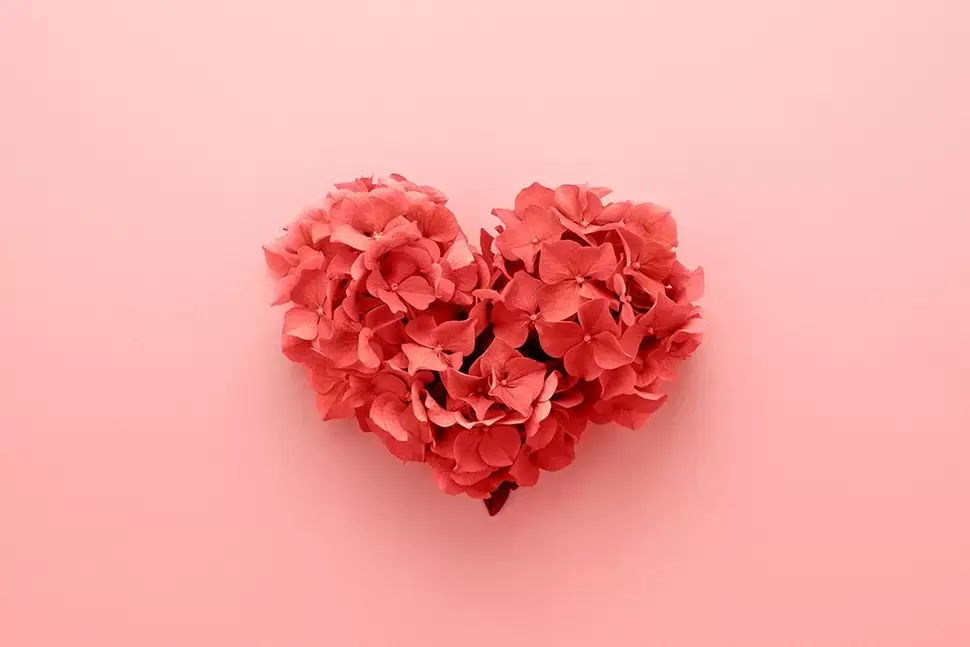 Bloemen voor Valentijn Bloemen voor Valentijn