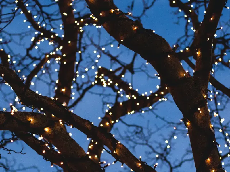 Breng sfeer in je tuin met buitenverlichting Breng sfeer in je tuin met buitenverlichting