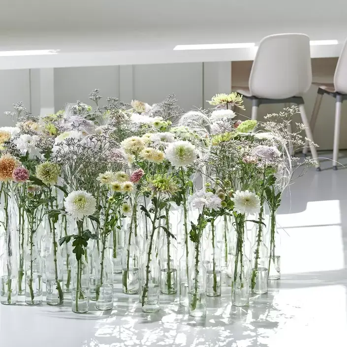 Chrysant | Eyecatcher in huis Chrysant | Eyecatcher in huis