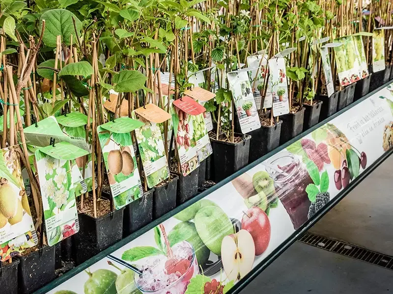 De moestuin; zaaien en oogsten in juli! De moestuin; zaaien en oogsten in juli!