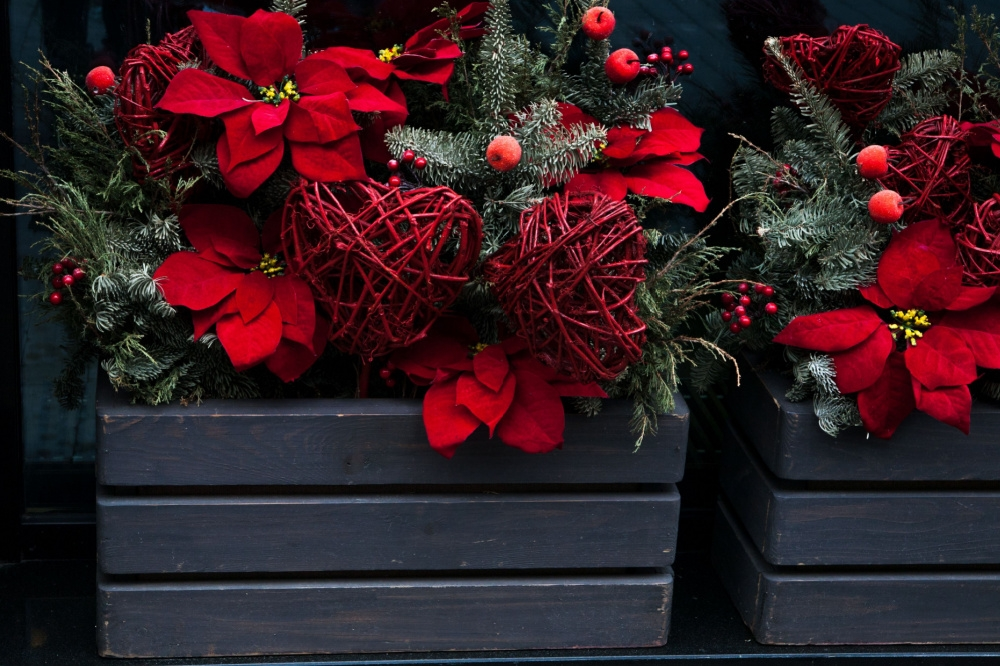 December huis- en tuintips December huis- en tuintips