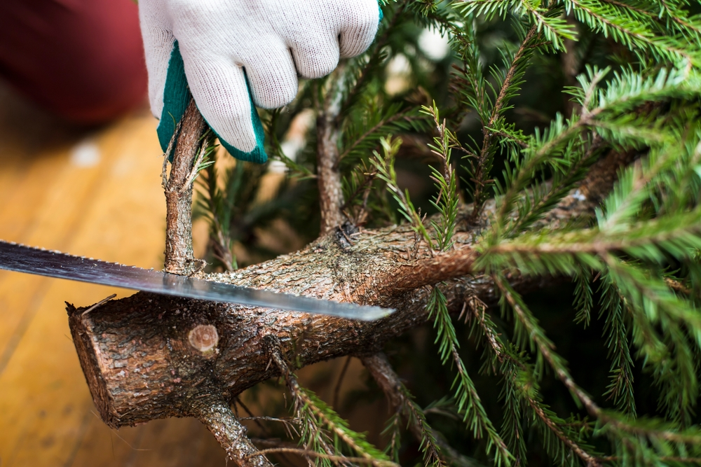 Doen! Kerstboom en kerstgroen recyclen Doen! Kerstboom en kerstgroen recyclen