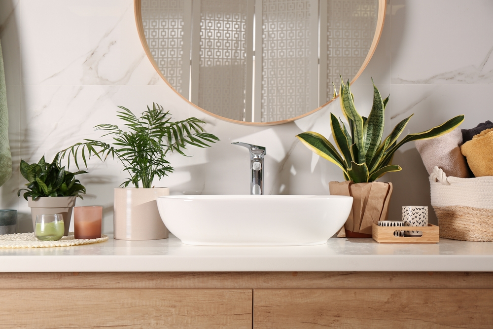 Douchebuddies: 3x leuke badkamer plant Douchebuddies: 3x leuke badkamer plant