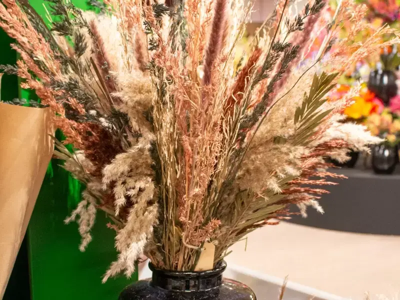 Droogbloemen, veren en pluimen: dé najaarstrend! Droogbloemen, veren en pluimen: dé najaarstrend!