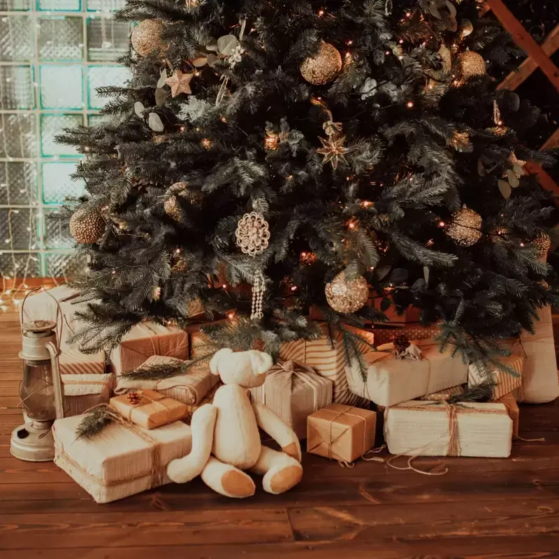 Een milieuvriendelijke kerstboom: wat zijn de opties? Een milieuvriendelijke kerstboom: wat zijn de opties?