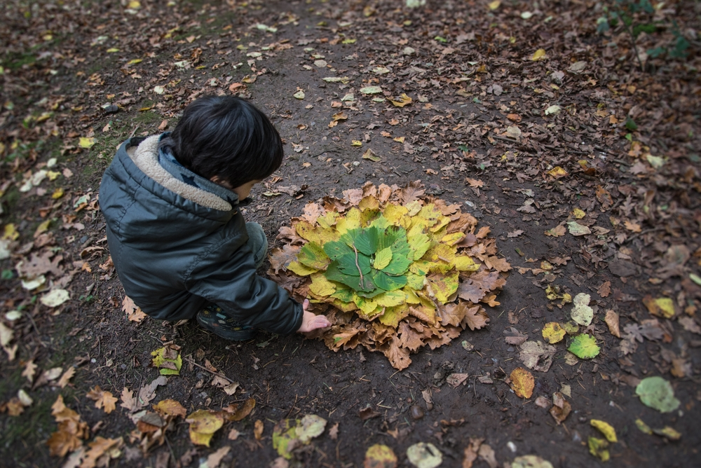 Groen doen in de herfstvakantie Groen doen in de herfstvakantie