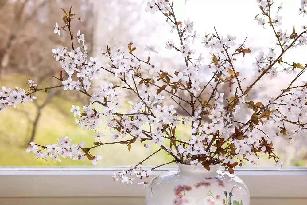 Haal de lente in huis met bloesemtakken Haal de lente in huis met bloesemtakken