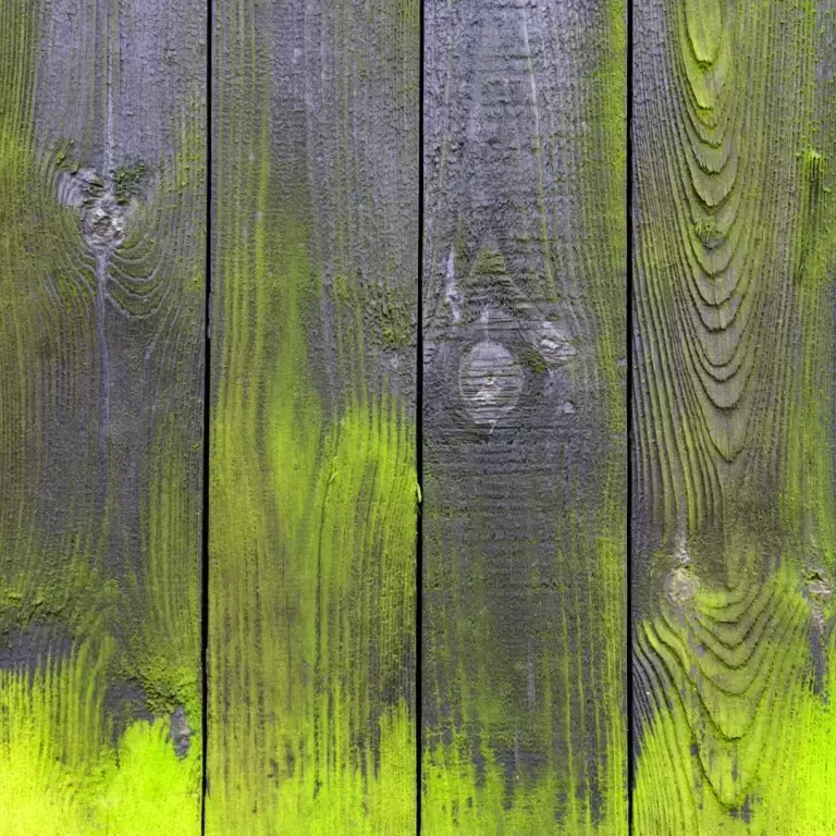 Hoe verwijder ik groene aanslag? Hoe verwijder ik groene aanslag?