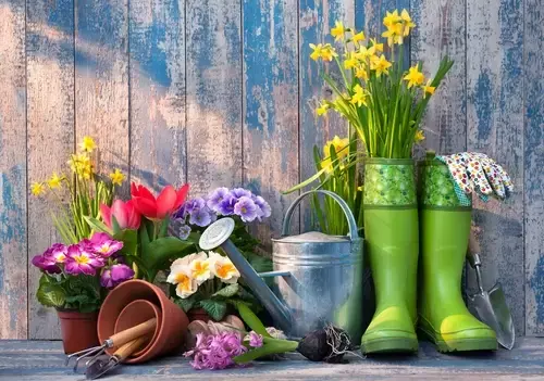 Juli: tuinonderhoud Juli: tuinonderhoud