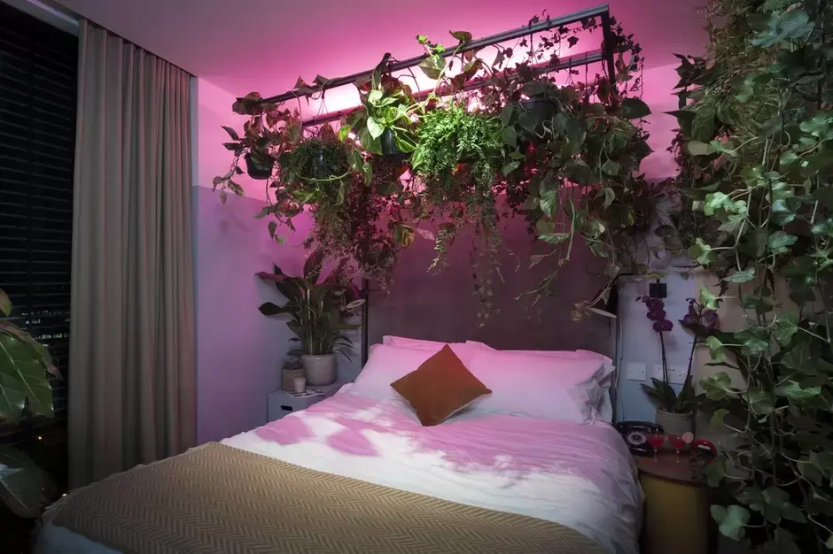 Kamerplanten in je interieur stylen: hoe doe je dat? Kamerplanten in je interieur stylen: hoe doe je dat?