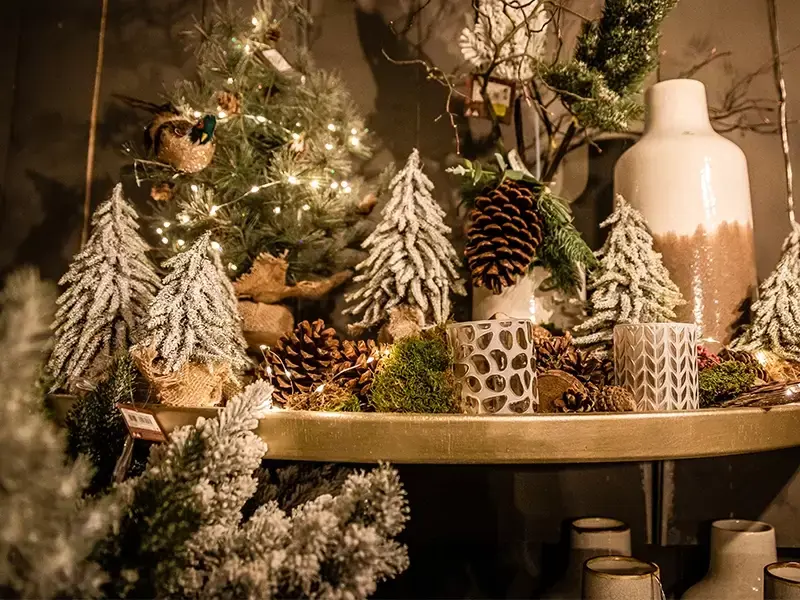 Kerst in huis halen zonder kerstboom: zo doe je dat! Kerst in huis halen zonder kerstboom: zo doe je dat!
