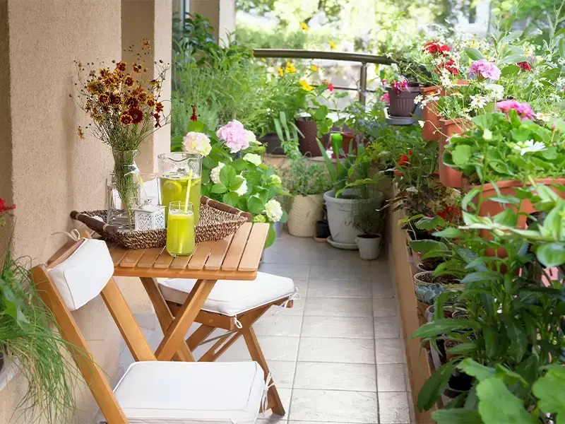 Kies de meest geschikte planten voor jouw balkon! Kies de meest geschikte planten voor jouw balkon!