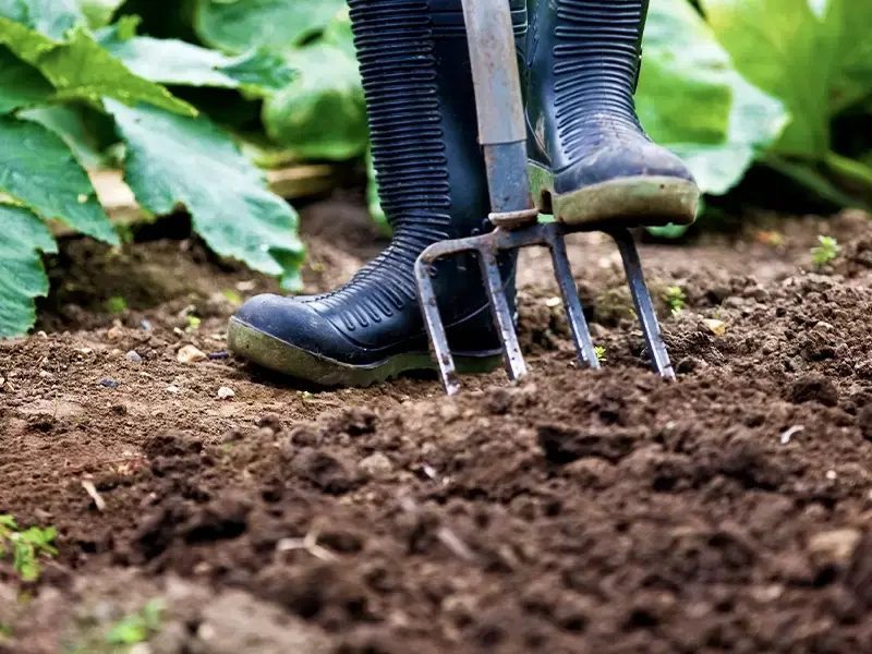 Maak die moestuin maar klaar! Maak die moestuin maar klaar!