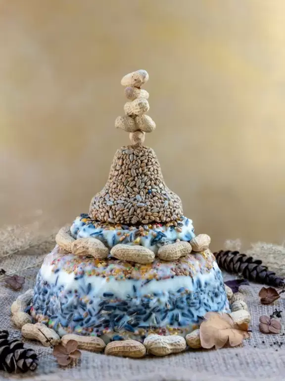 Maak een kerstbuffet voor de tuinvogels Maak een kerstbuffet voor de tuinvogels