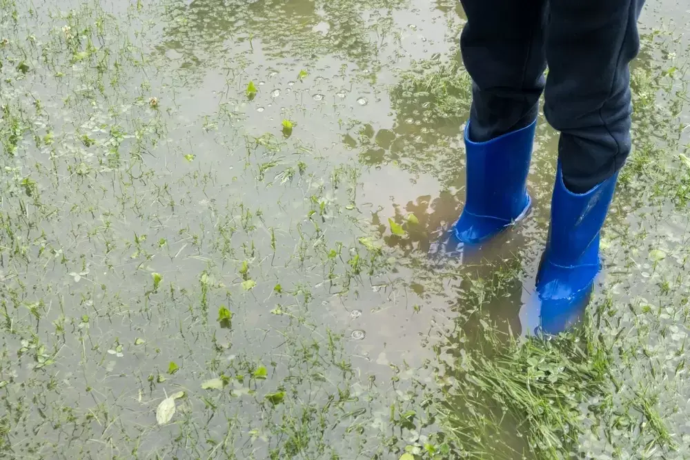 Maak je tuin regenbestendig Maak je tuin regenbestendig