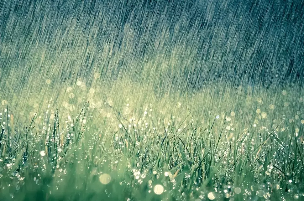 Maak je tuin regenbestendig Maak je tuin regenbestendig