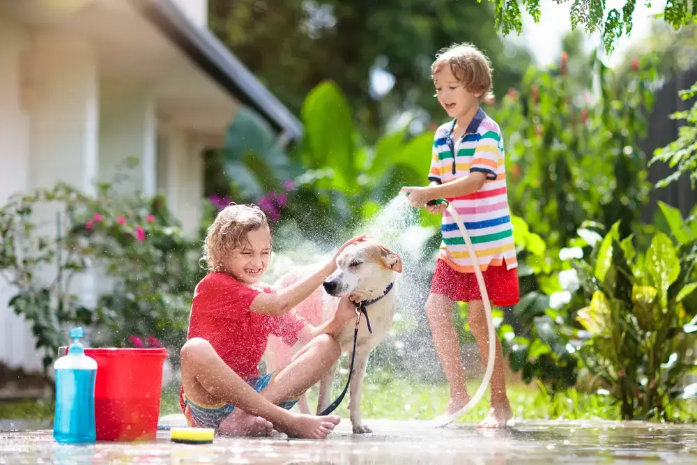 Met deze 5 tips help je je huisdier de zomer door! Met deze 5 tips help je je huisdier de zomer door!