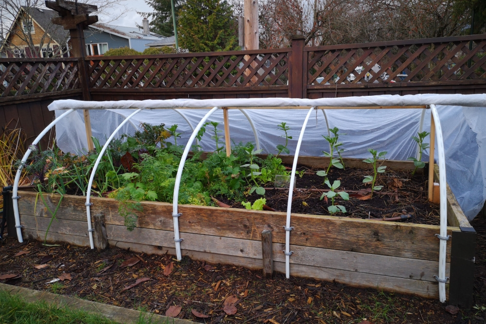 Moestuinieren in de winter Moestuinieren in de winter
