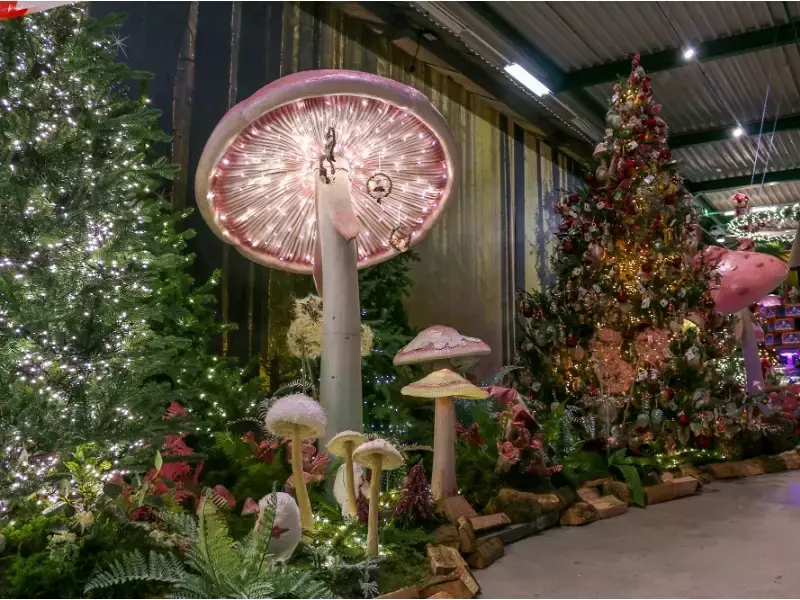 Onze kerstshow is geopend! Onze kerstshow is geopend!