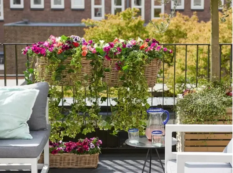 Onze top 3 zomerbloeiers van dit moment! Onze top 3 zomerbloeiers van dit moment!
