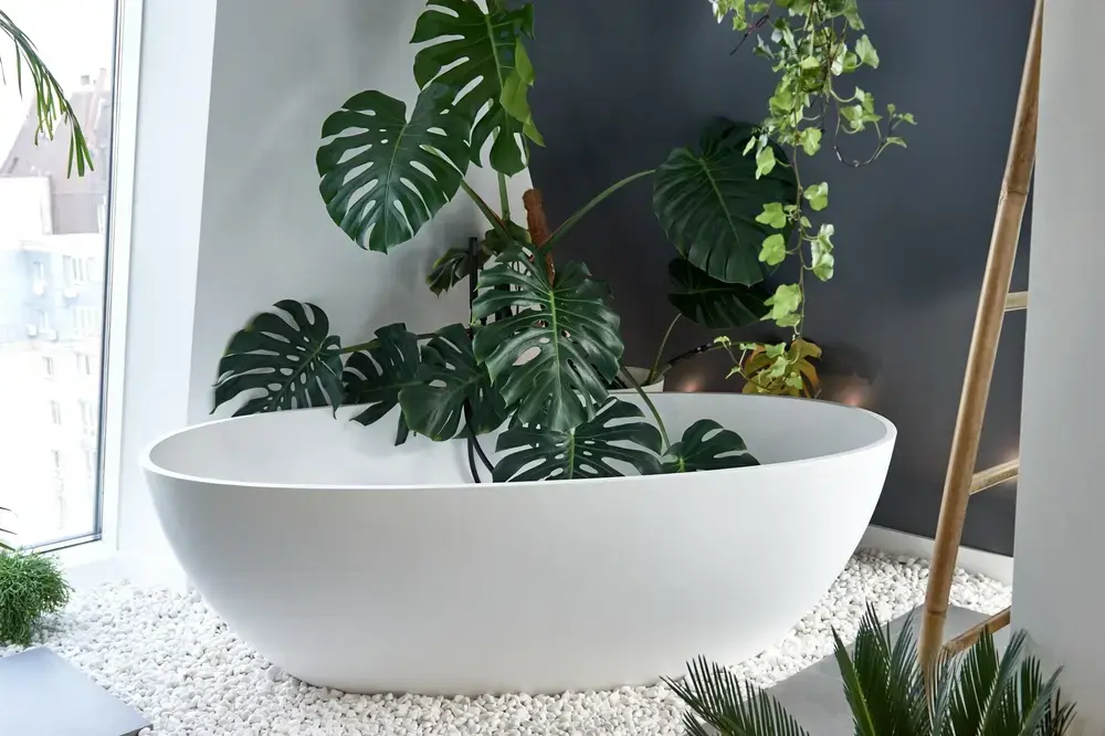 Planten voor je bad- en slaapkamer Planten voor je bad- en slaapkamer