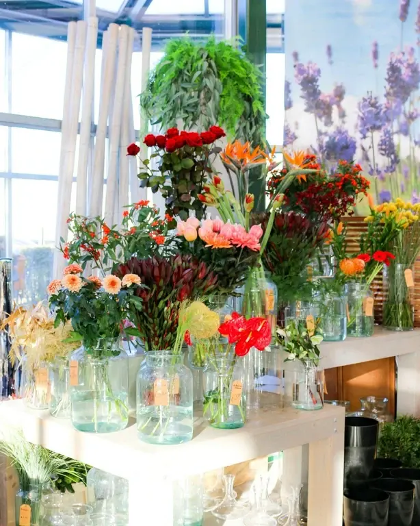 Plukboeket stylen: haal het beste uit je bloemen Plukboeket stylen: haal het beste uit je bloemen