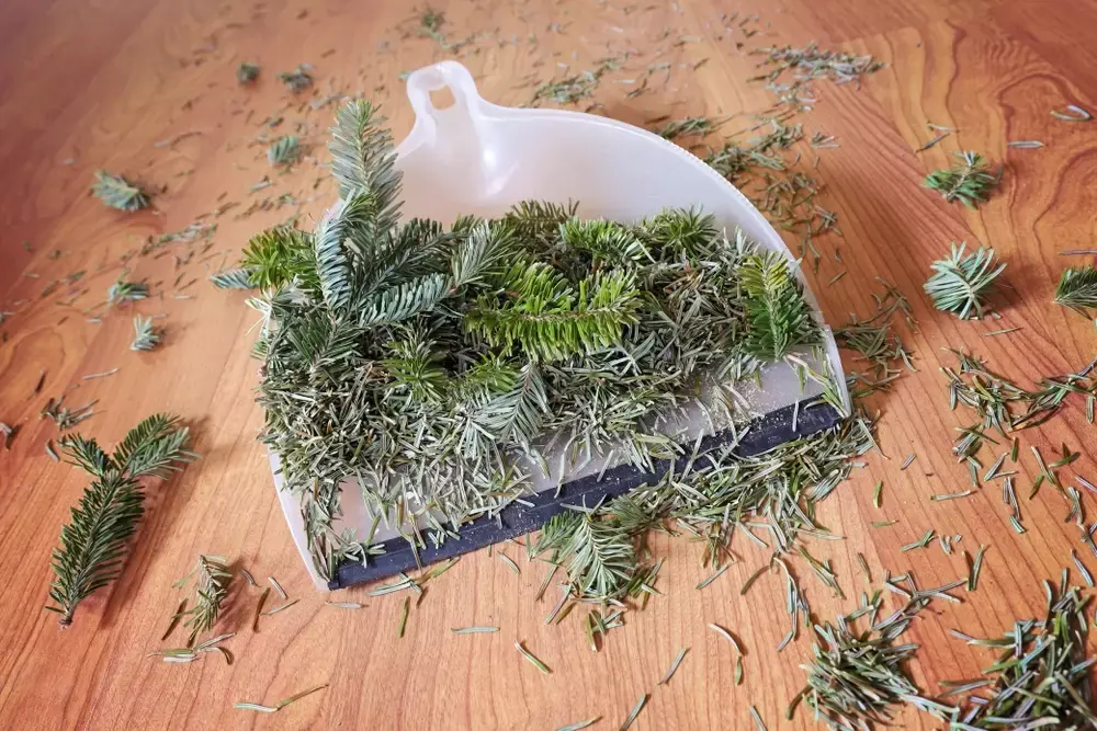 Recycle je kerstboom en kerstgroen Recycle je kerstboom en kerstgroen