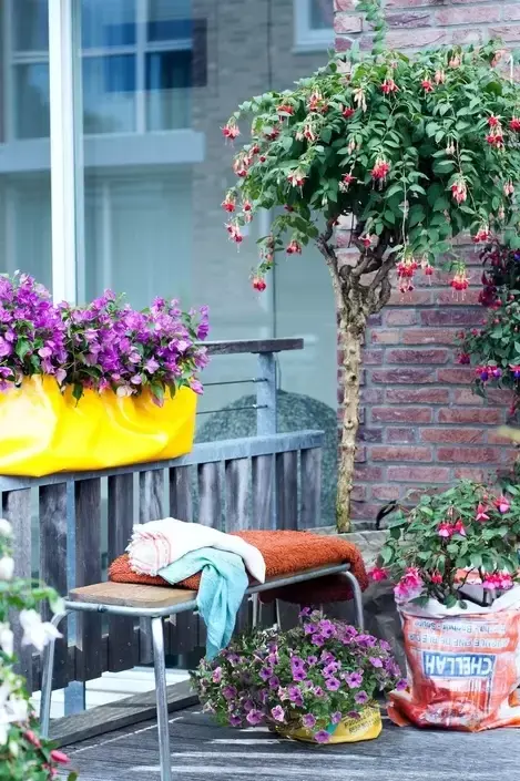Top 3 eenjarige planten: ontdek ze hier Top 3 eenjarige planten: ontdek ze hier