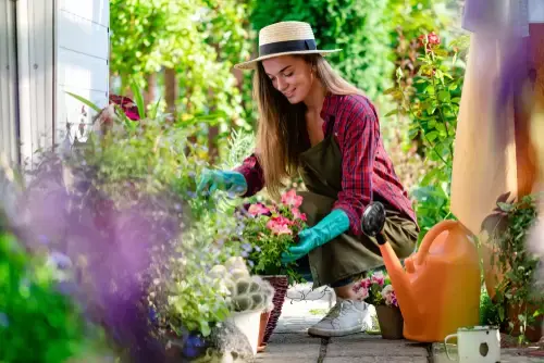 Top 5 langbloeiende tuinplanten Top 5 langbloeiende tuinplanten