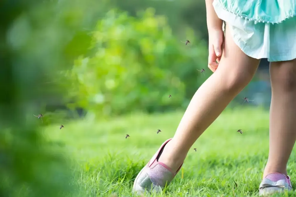 Toptips tegen muggen en wespen Toptips tegen muggen en wespen