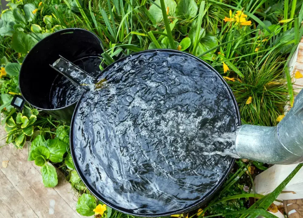 Toptips voor tuin- en potplanten bij extreme droogte Toptips voor tuin- en potplanten bij extreme droogte