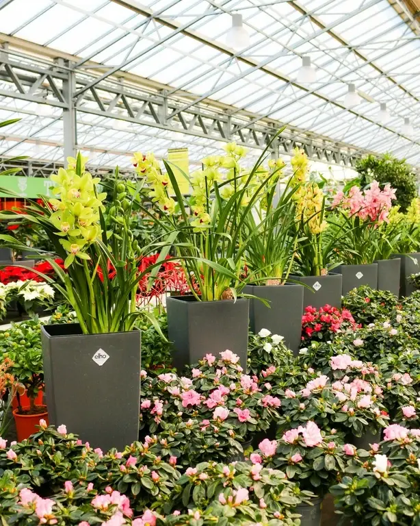 Trend alert: de hoge bloempot Trend alert: de hoge bloempot