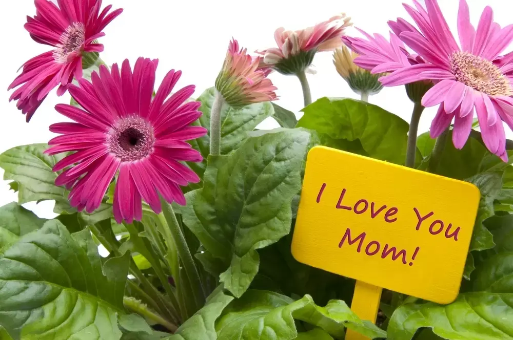 Tuincadeaus voor Moederdag Tuincadeaus voor Moederdag