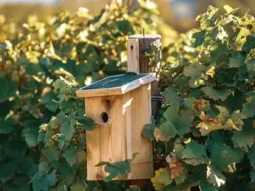 Tuintips voor februari Tuintips voor februari