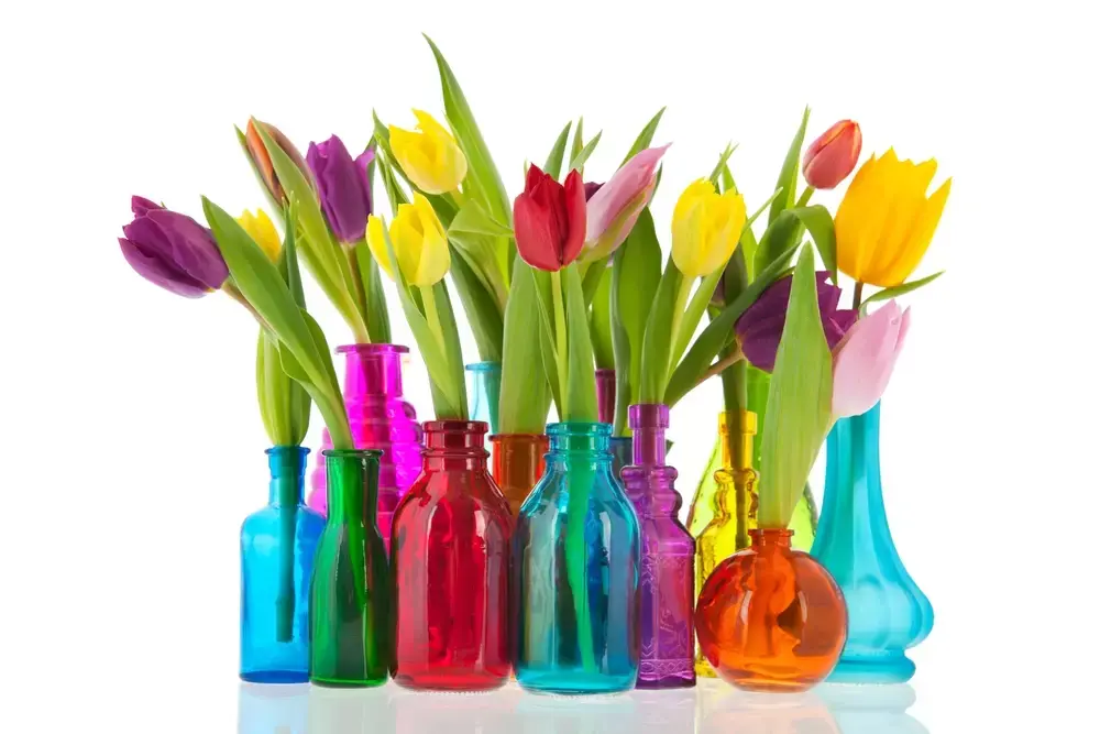 Tulpen: toppers tegen de winterdip Tulpen: toppers tegen de winterdip